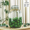 Round Wine-making Tank Seal Pot Glass Jar 5000ml with handle